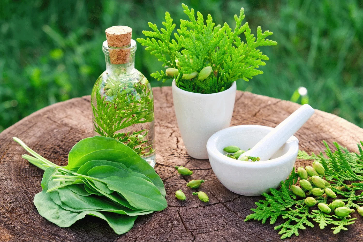 Naturopathy-1